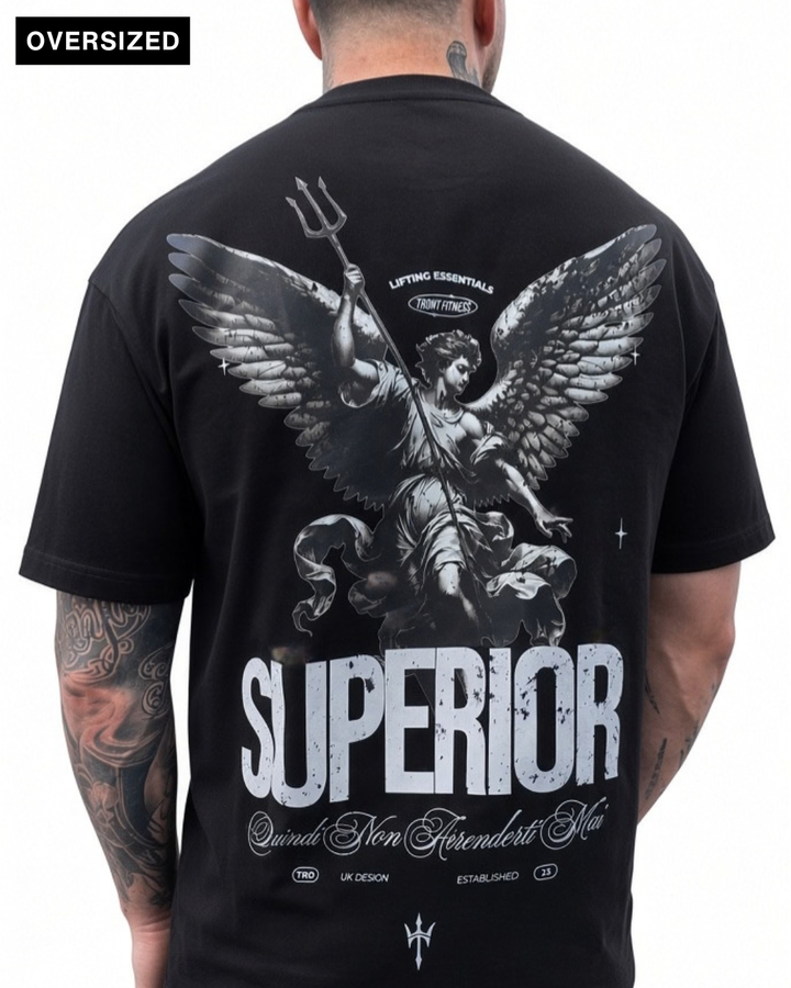 Superior Oversized Heavyweight Tee