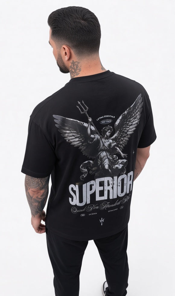 Superior Oversized Heavyweight Tee